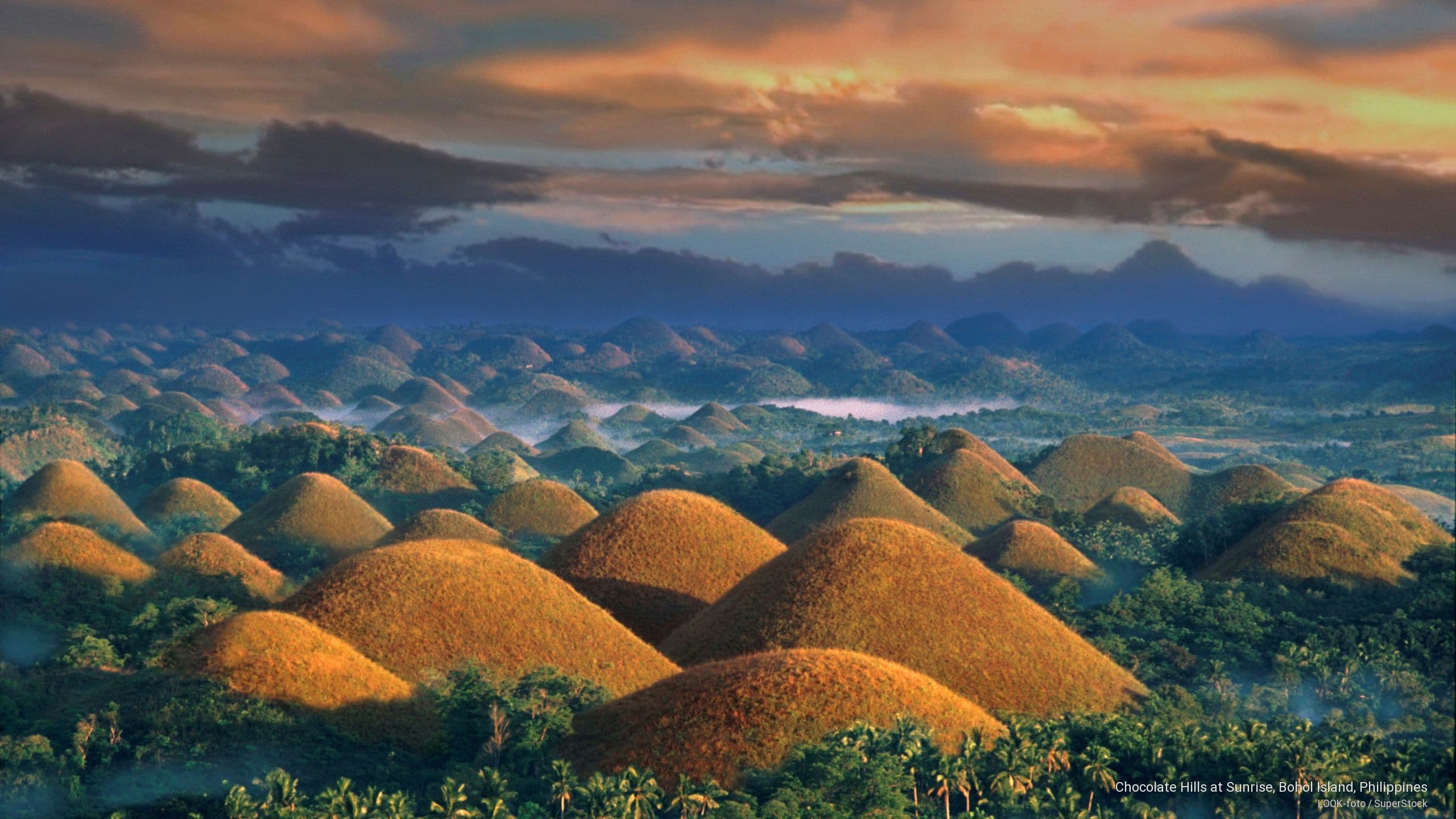 The Chocolate Hills of Bohol